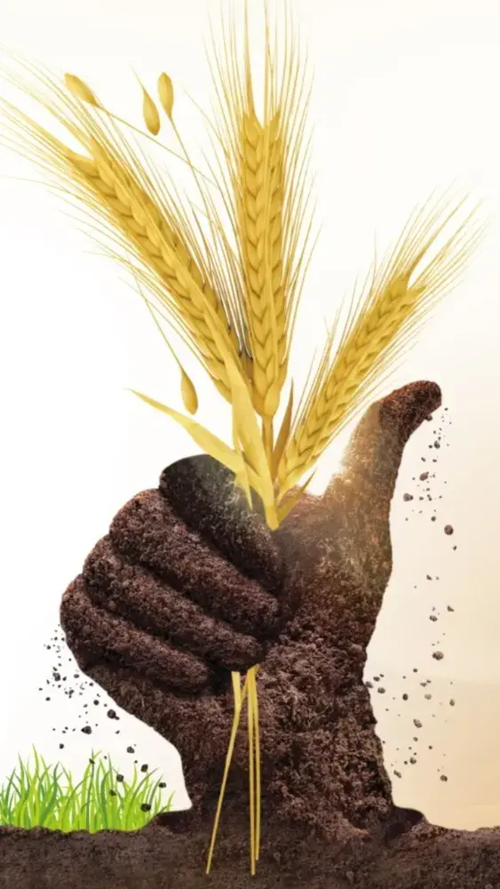 Main Banner Image 1